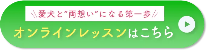 オンラインレッスンはこちら