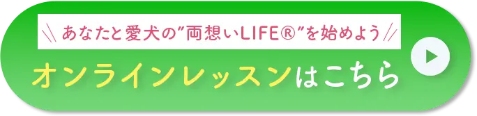 オンラインレッスンはこちら