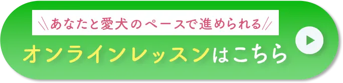 オンラインレッスンはこちら